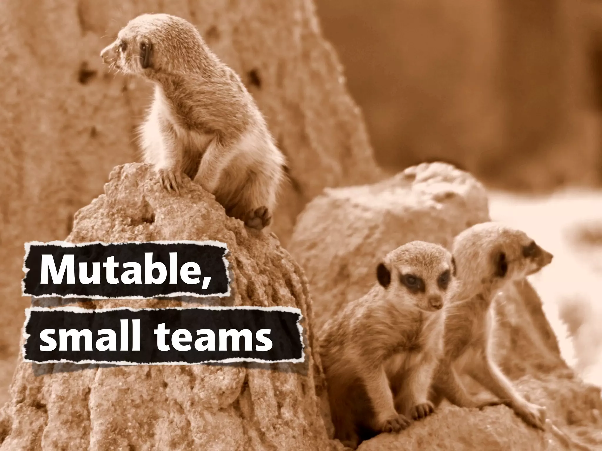 Mutable,
small teams
 