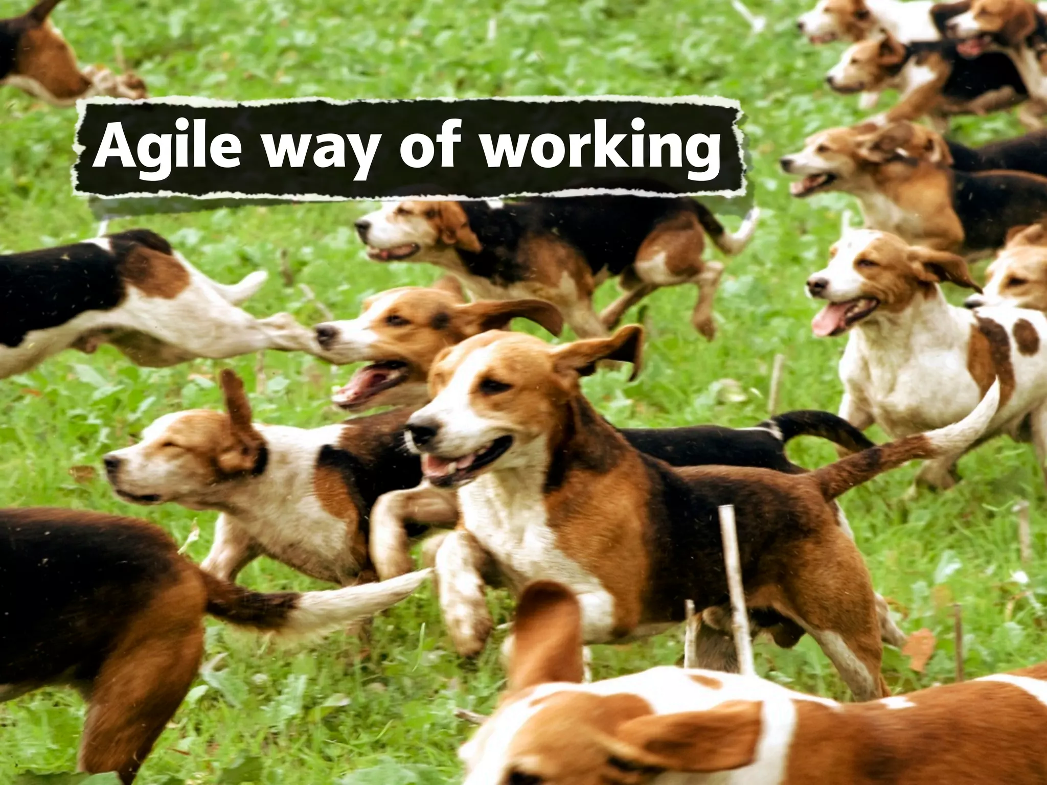 Agile way of working
 