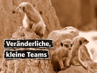 Veränderliche,
kleine Teams
 