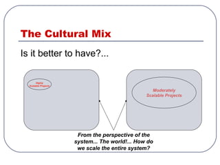 The Cultural Mix
Is it better to have?...
Highly
Scalable Projects
Moderately
Scalable Projects
From the perspective of the
system... The world!... How do
we scale the entire system?
 
