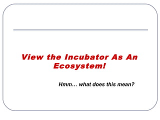 View the Incubator As An
Ecosystem!
Hmm… what does this mean?
 