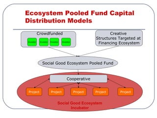 Ecosystem Pooled Fund Capital
Distribution Models
Project Project Project Project Project
Social Good Ecosystem Pooled Fund
Investor Investor Investor Investor
Cooperative
Crowdfunded Creative
Structures Targeted at
Financing Ecosystem
Social Good Ecosystem
Incubator
 