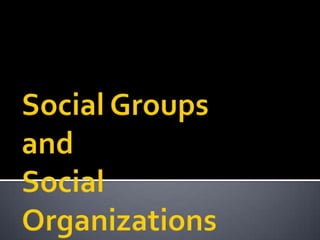 Social Groupsand Social Organizations 
