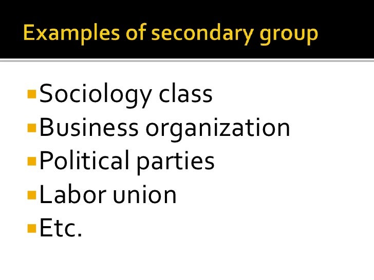 social organization examples