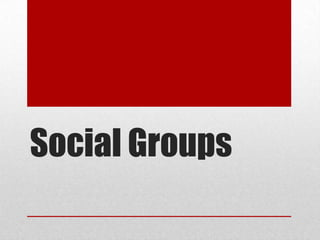 Social Groups
 
