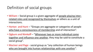 Social Group Definition, Types & Examples - Video & Lesson Transcript
