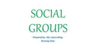 SOCIAL
GROUPS
Prepared by : Ms. Leena Ghag.
Nursing Tutor
 