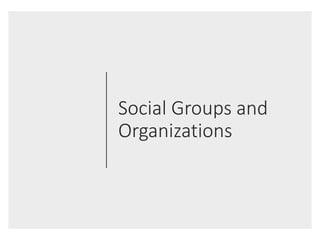 Social Groups and
Organizations
 