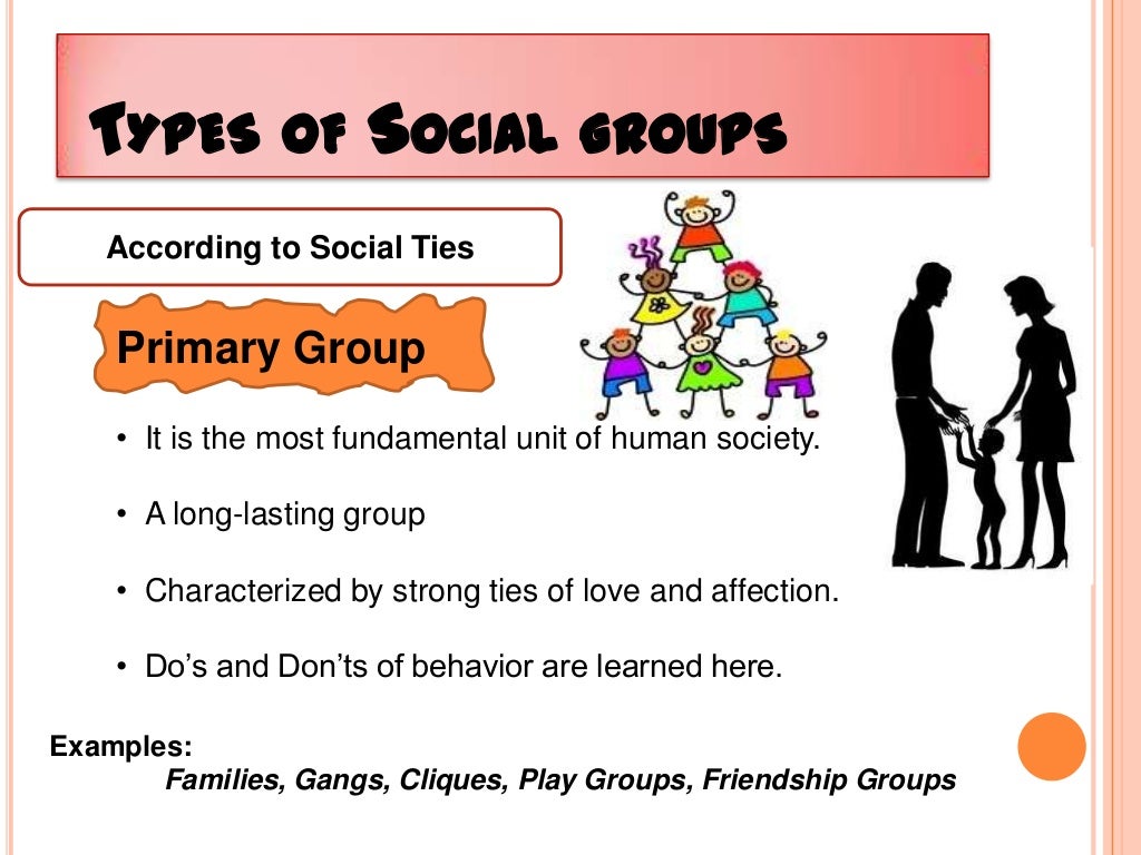 Social groups and Social organization