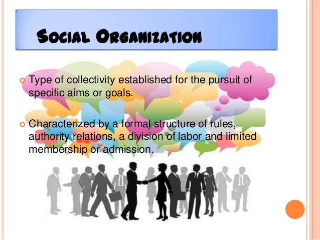 Groups and organizations sociology