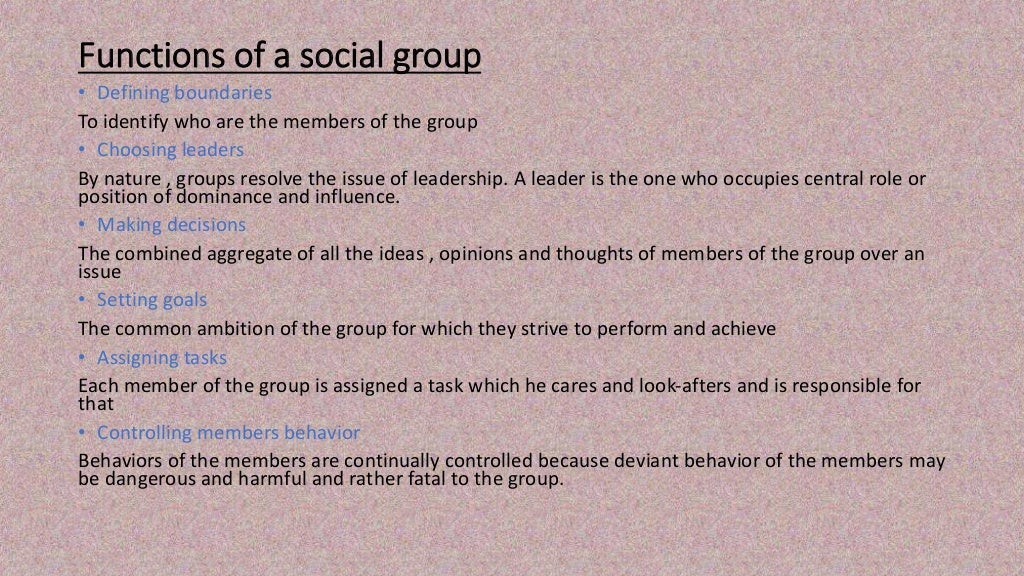 Social groups and types