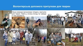 Волонтерська допомога притулкам для тварин
Наша команда организовує поїздки у притулки
для тварин. Навіть у погану погоду тут завжди
є чим допомогти.
 