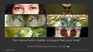 Biomimicry 3.8 | Biomimicry.net@JanineBenyus
Can nature build a better company than your boss?
Thanks to 3.8 billion years of evolution, it can help
From	FastCoDesign	Biomimicry	
challenge	series,	2010	
 