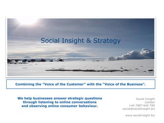 Social Insight, Strategy and Executive Education Business Plan – December 2010 Social Insight and Strategy 
