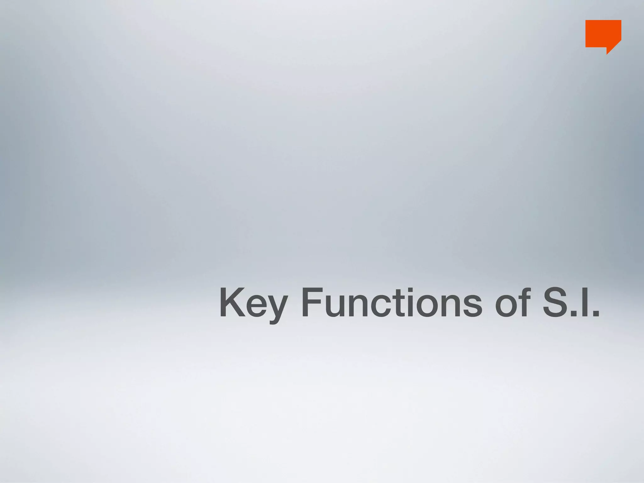 Key Functions of S.I.
 