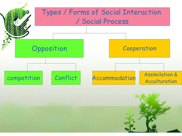 Social interaction and social... process