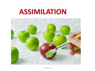 ASSIMILATION
Ms Manisha
 