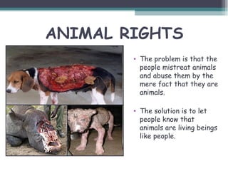 ANIMAL RIGHTS
        • The problem is that the
          people mistreat animals
          and abuse them by the
          mere fact that they are
          animals.

        • The solution is to let
          people know that
          animals are living beings
          like people.
 
