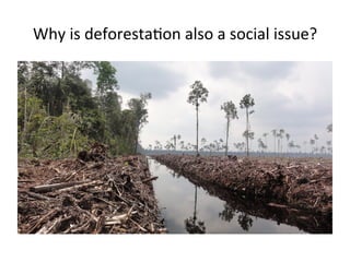 Why	
  is	
  deforestaDon	
  also	
  a	
  social	
  issue?	
  

 