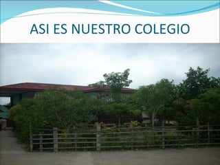 ASI ES NUESTRO COLEGIO 