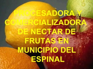 PROCESADORA Y COMERCIALIZADORA  DE NECTAR DE  FRUTAS EN  MUNICIPIO DEL  ESPINAL 