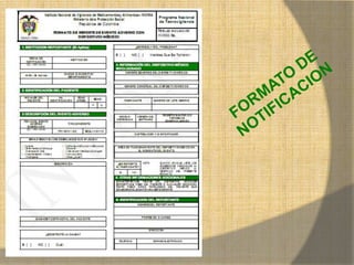 MONICA MIREYA GOMEZ - REGENTE DE
FARMACIA
 