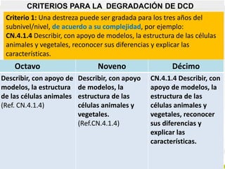 CRITERIOS PARA LA DEGRADACIÓN DE DCD
Octavo Noveno Décimo
Describir, con apoyo de
modelos, la estructura
de las células animales
(Ref. CN.4.1.4)
Describir, con apoyo
de modelos, la
estructura de las
células animales y
vegetales.
(Ref.CN.4.1.4)
CN.4.1.4 Describir, con
apoyo de modelos, la
estructura de las
células animales y
vegetales, reconocer
sus diferencias y
explicar las
características.
Criterio 1: Una destreza puede ser gradada para los tres años del
subnivel/nivel, de acuerdo a su complejidad, por ejemplo:
CN.4.1.4 Describir, con apoyo de modelos, la estructura de las células
animales y vegetales, reconocer sus diferencias y explicar las
características.
 