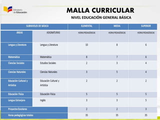 MALLA CURRICULAR
NIVEL EDUCACIÓN GENERAL BÁSICA
 