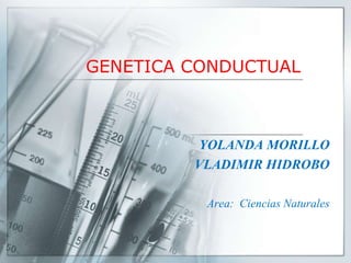 GENETICA CONDUCTUAL YOLANDA MORILLO VLADIMIR HIDROBO Area:  CienciasNaturales 