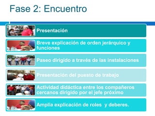 Fase 2: Encuentro
Presentación
Breve explicación de orden jerárquico y
funciones
Paseo dirigido a través de las instalaciones
Presentación del puesto de trabajo
Actividad didáctica entre los compañeros
cercanos dirigido por el jefe próximo
Amplia explicación de roles y deberes.
 