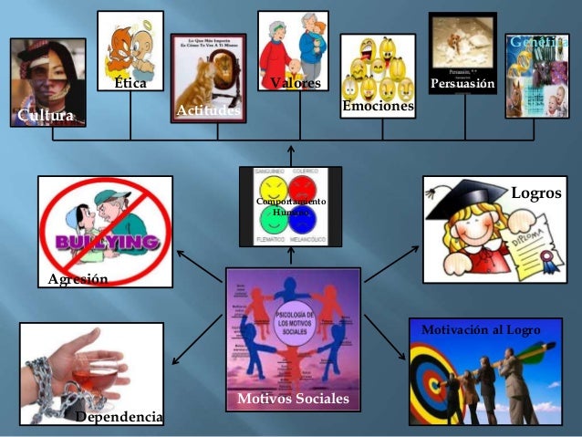 Socializacion mapa mental Maria Anzola