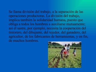 Se llama división del trabajo, a la separación de las operaciones productoras. La división del trabajo, implica también la solidaridad humana, puesto que obliga a todos los hombres a auxiliarse mutuamente; así el sastre, por ejemplo, necesita la cooperación del tintorero, del dibujante, del tejedor, del ganadero, del agricultor, de los fabricantes de herramientas, y en fin, de muchos hombres.  