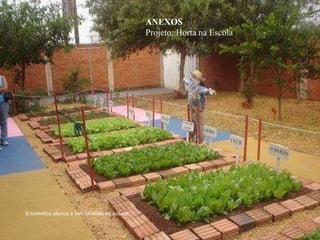 ANEXOS  Projeto: Horta na Escola Envolvidos alunos e funcionários da escola 