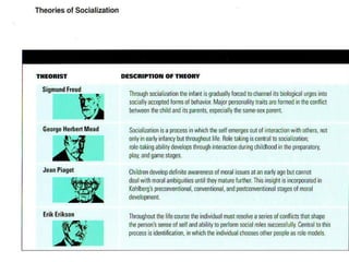 MAJOR DEVELOPMENTAL THEORISTS 