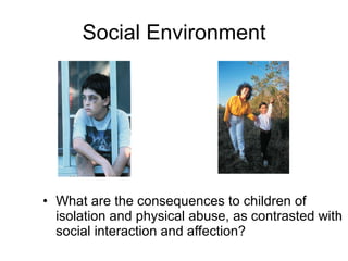 Social Environment What are the consequences to children of isolation and physical abuse, as contrasted with social interaction and affection?  