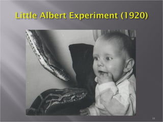  The third assumption is Determinism. This
states that we don't act freely but rather we
respond in a programmed way to outside
stimuli.
10
 