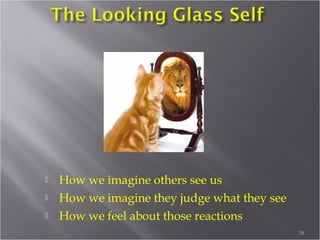 Erikson’s Typology
 