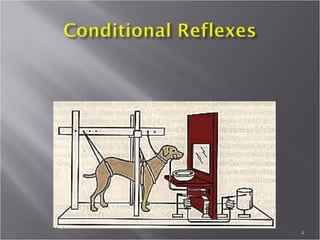 Darwin’s Study:
Charles Darwin’s
observations on
the development
of his children,
began the research
that culminated in
his book The
Expression of the
emotions in man
and Animals,
published in 1872
Wikipedia
 