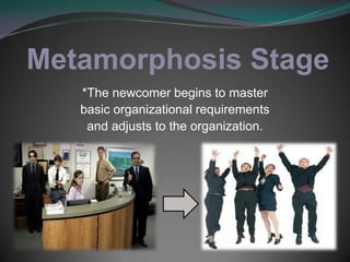 Metamorphosis Stage*The newcomer begins to master basic organizational requirements and adjusts to the organization. 