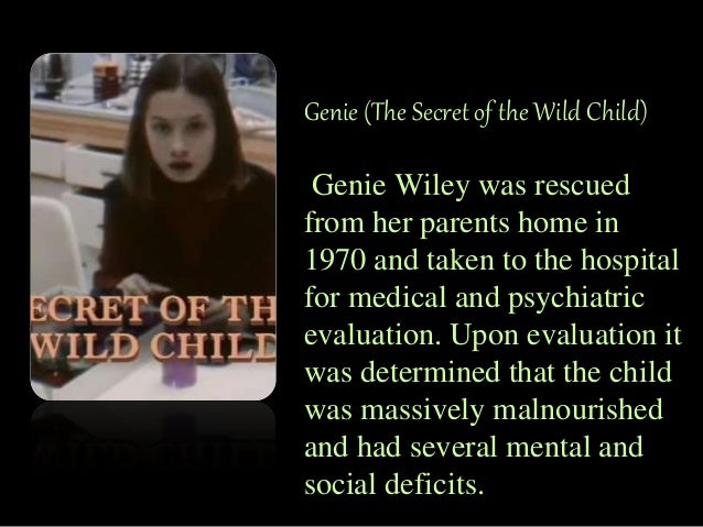 genie wiley today genie wiley today