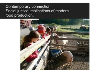 Contemporary connection:
Social justice implications of modern
food production.
 