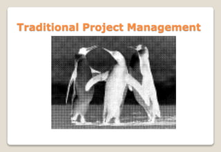 Traditional Project Management
 