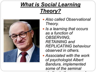 Albert bandura is associated with sale