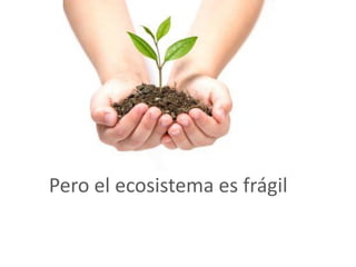 Pero el ecosistema es frágil
 