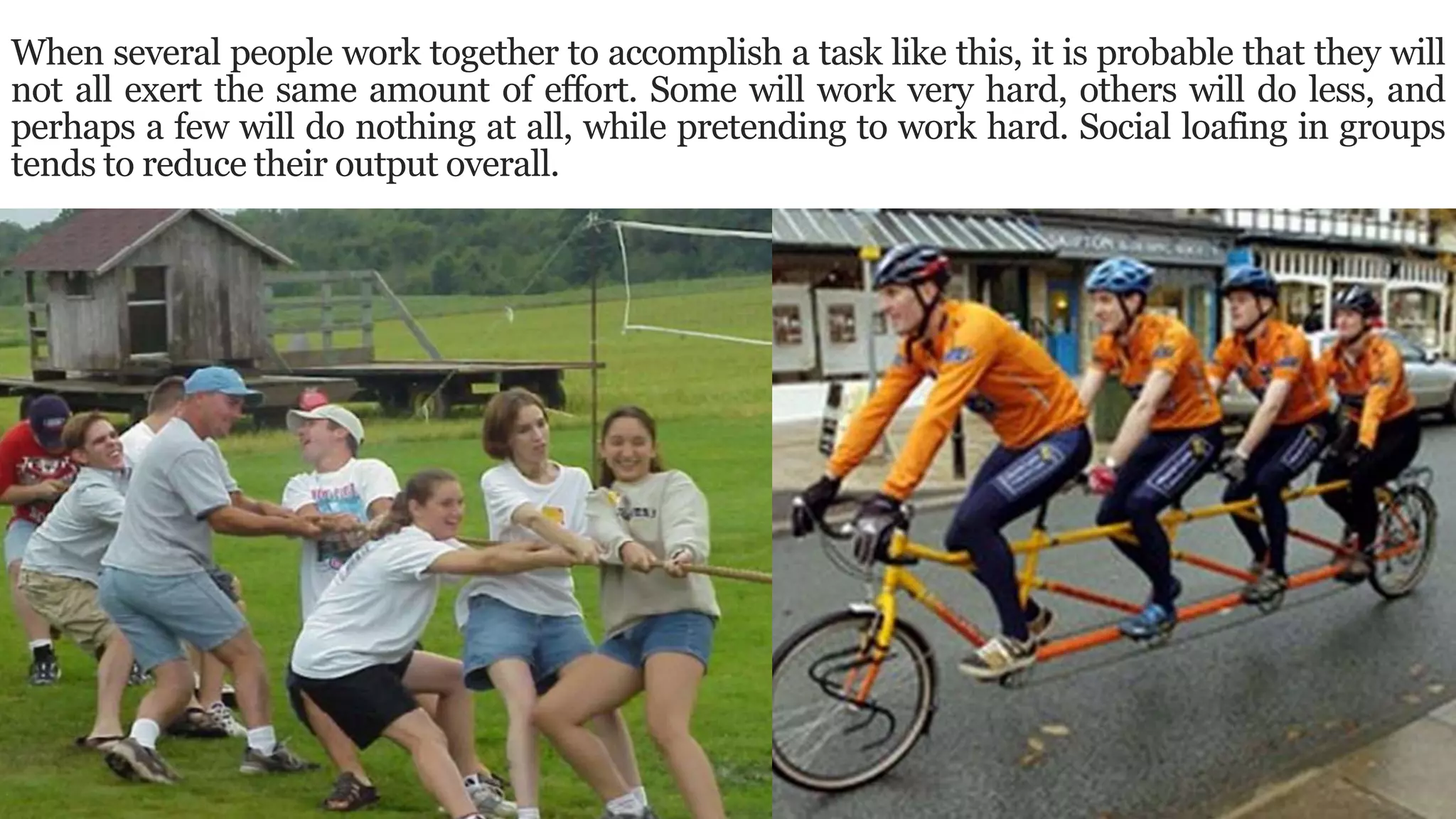 When several people work together to accomplish a task like this, it is probable that they will
not all exert the same amount of effort. Some will work very hard, others will do less, and
perhaps a few will do nothing at all, while pretending to work hard. Social loafing in groups
tends to reduce their output overall.
 
