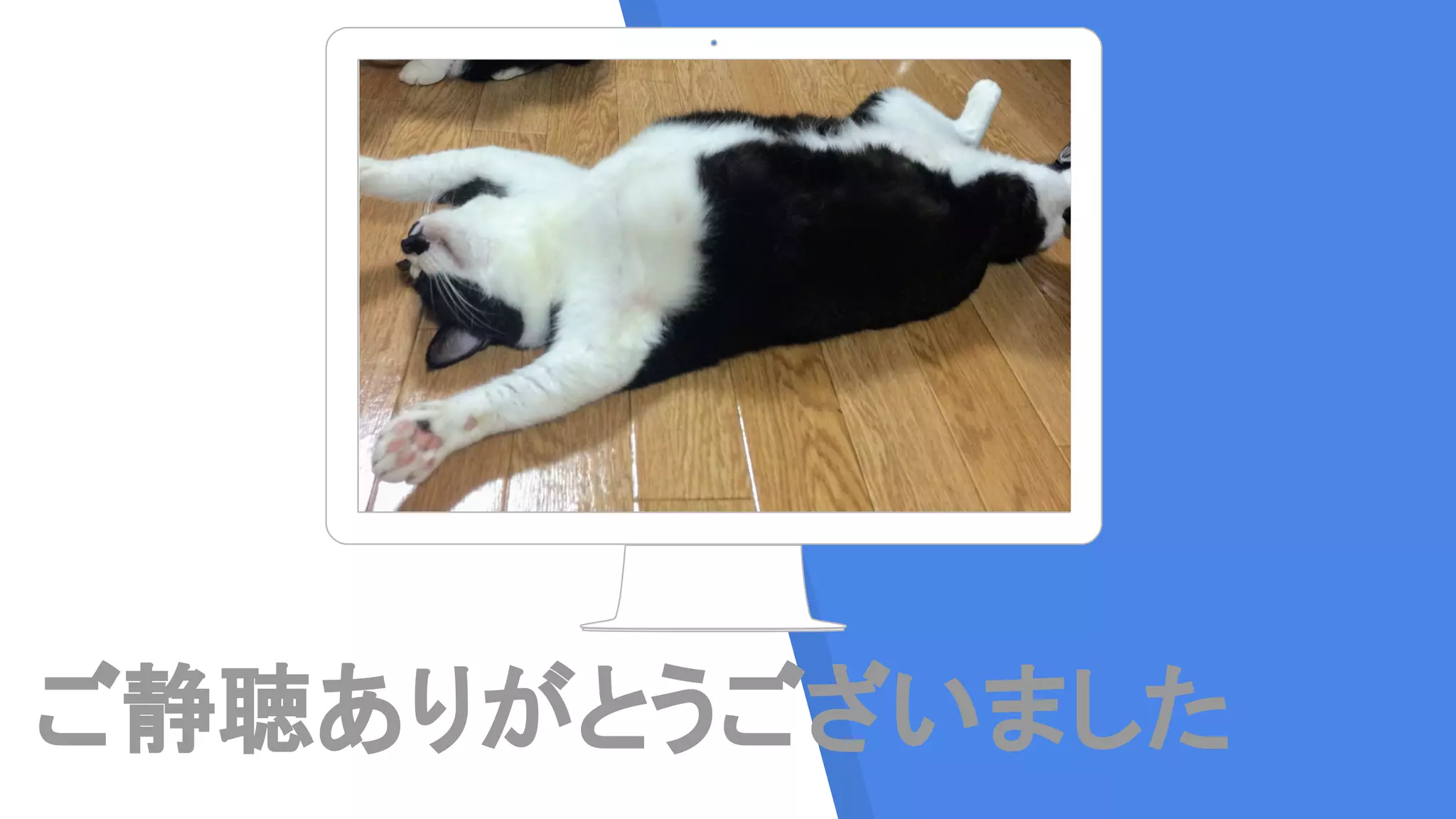 ご静聴ありがとうございました
 