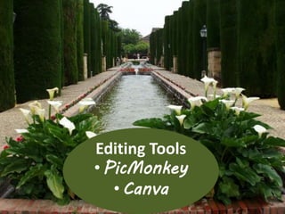 Editing Tools
• PicMonkey
• Canva
 