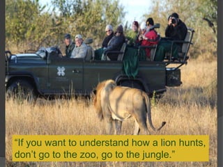 ―If you want to understand how a lion hunts,
don’t go to the zoo, go to the jungle.‖
 