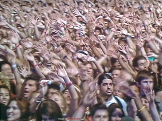 Image by  Steve Crane 