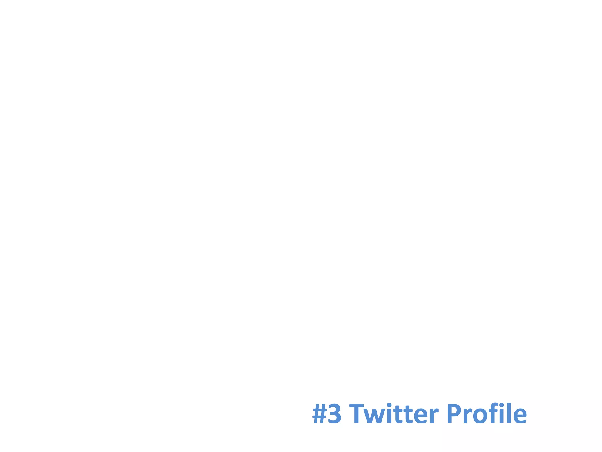#3 Twitter Profile
